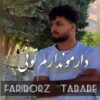 دانلود آهنگ جدید فریبرز تبابه دارمو ندارم تونی